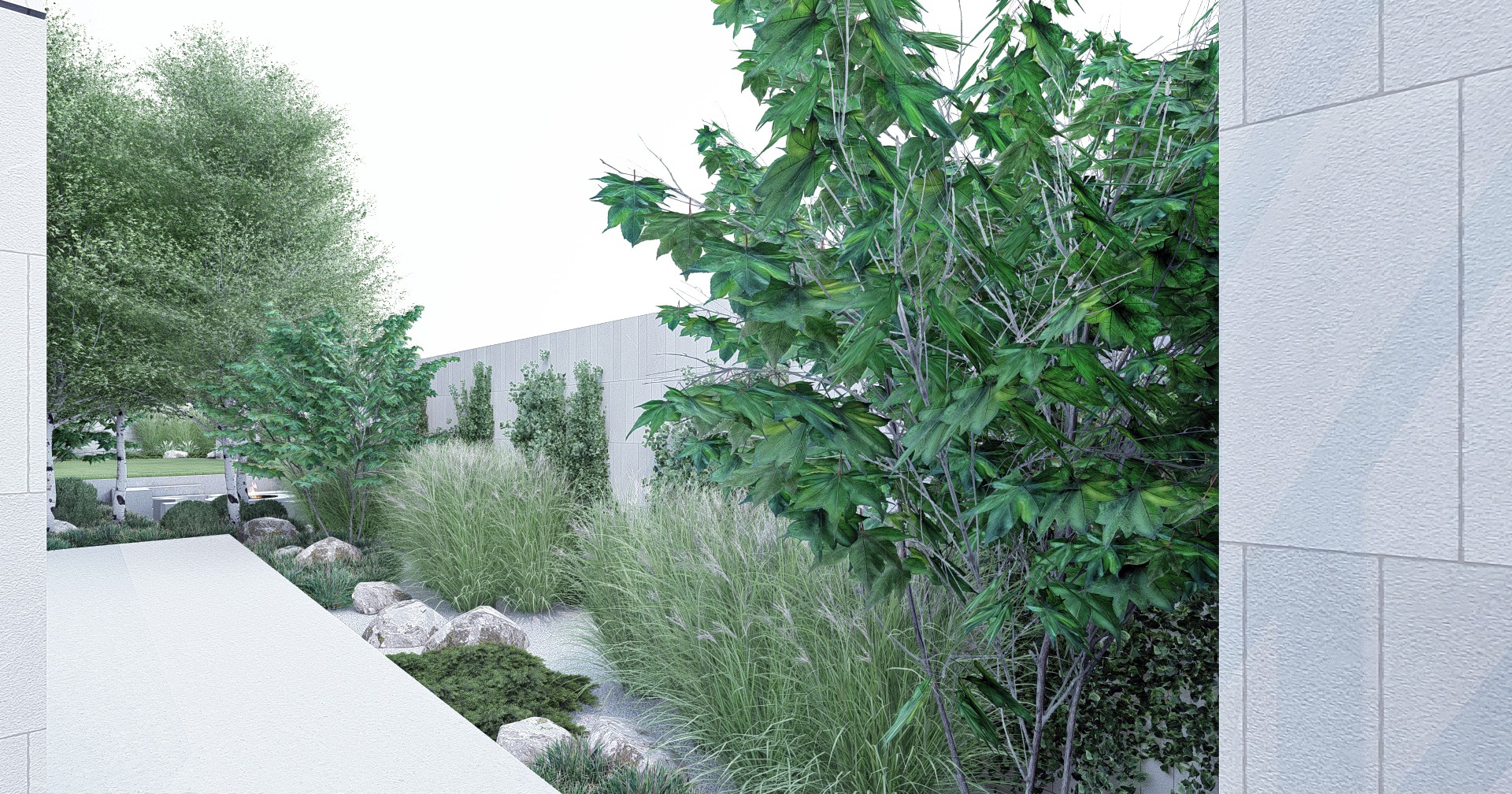 minimalistyczny ogród z trawami