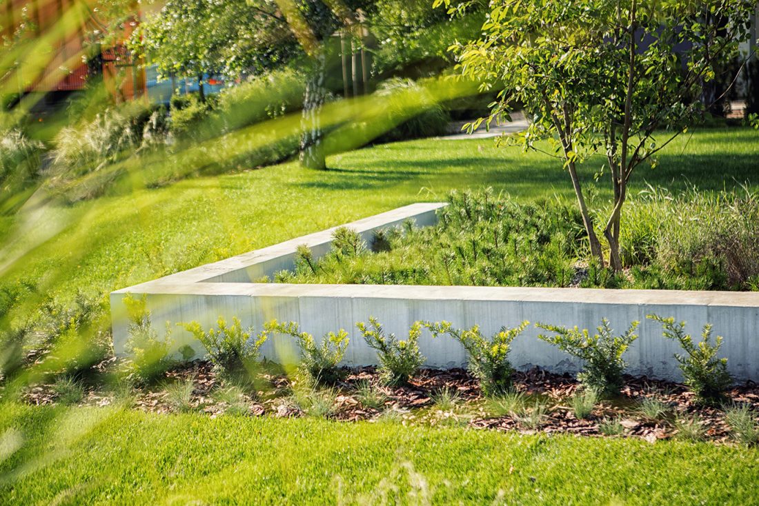 nowoczesny ogrod poznań, projekt ogrodu Poznań, minimalistyczny ogród, beton w ogrodzie, ogrody rockandflower studio projektowanie ogrodów poznań, architektura krajobrazu poznań