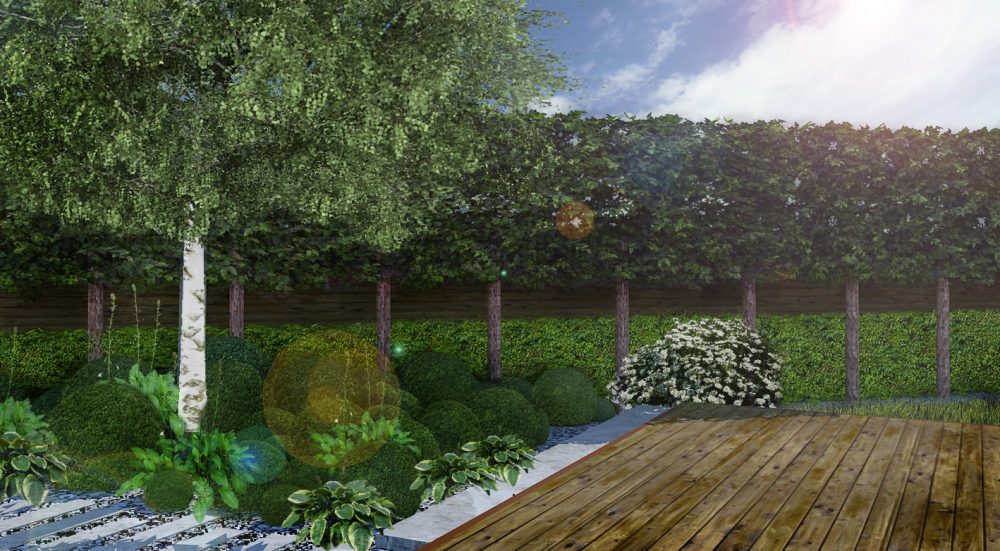 ogród skandynawski, kule bukszpanowe w ogrodzie, geometryczne formy roślin