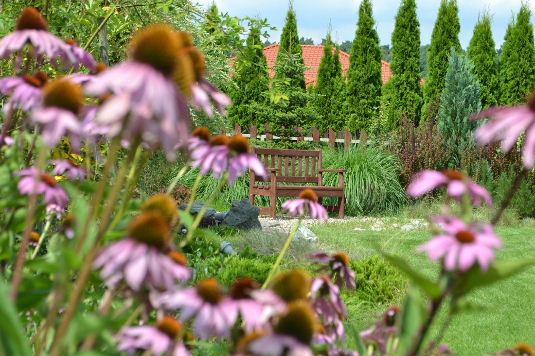 projekt ogrodu poznań, projektowanie ogrodów Poznań, architektura krajobrazu poznań, rock&flower studio Poznań, architekt krajobrazu