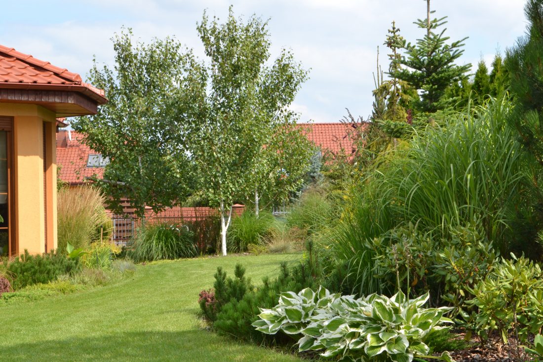 projekt ogrodu poznań, projektowanie ogrodów Poznań, architektura krajobrazu poznań, rock&flower studio Poznań, architekt krajobrazu