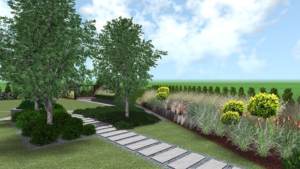 projekt nowoczesnego ogrodu - zagospodarowanie terenu zieleni - trawy w ogrodzie