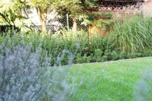 projekt ogrodu Poznań, ogród ze skosami, projekt niewielkiego ogrodu