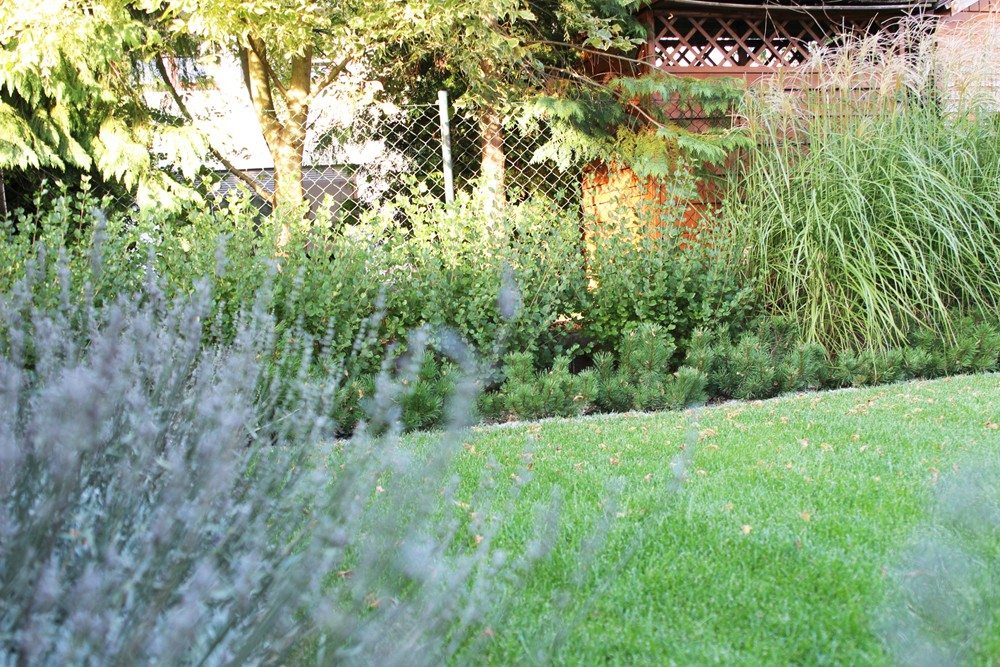 projekt ogrodu Poznań, ogród ze skosami, projekt niewielkiego ogrodu