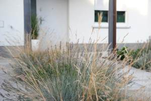 projekt ogrodu Poznań, nowoczesny ogród poznań