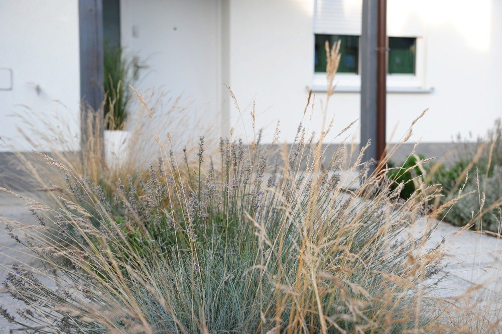 projekt ogrodu Poznań, nowoczesny ogród poznań