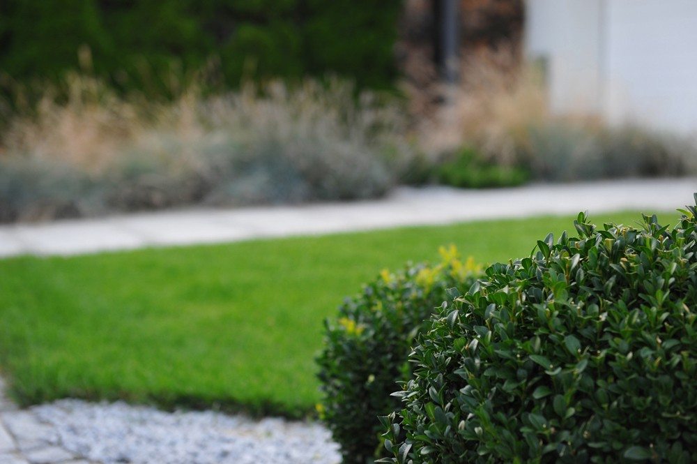 projekt ogrodu Poznań, nowoczesny ogród poznań