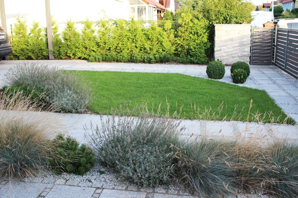 projekt ogrodu Poznań, nowoczesny ogród, projekt niewielkiego ogrodu