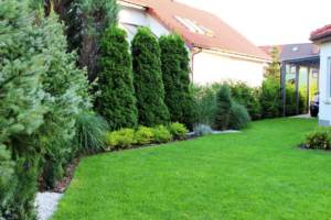 projekt ogrodu Poznań, nowoczesny ogród, projekt niewielkiego ogrodu