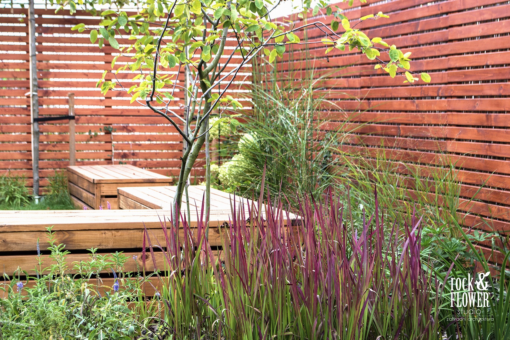 Maly ogród w Pradze