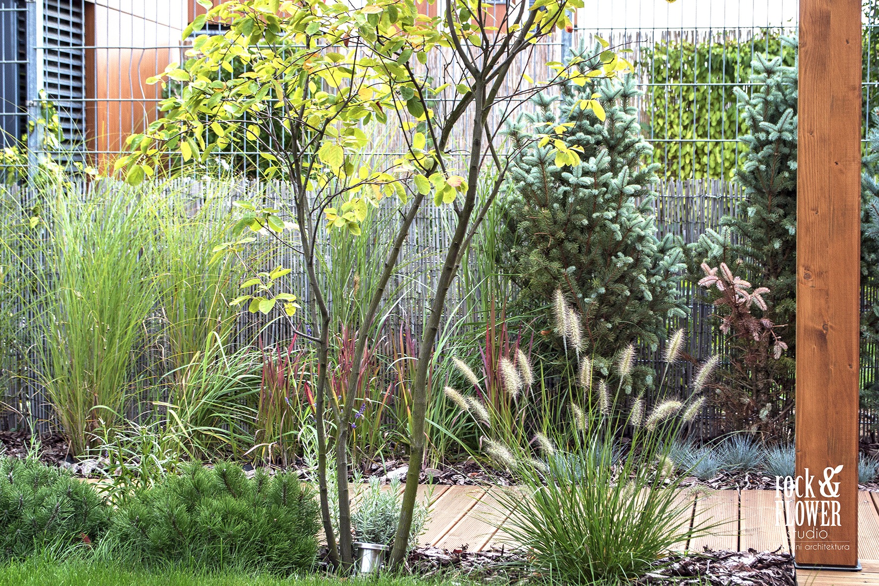 Maly ogród w Pradze