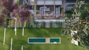 minimalistyczny ogród z sosnami