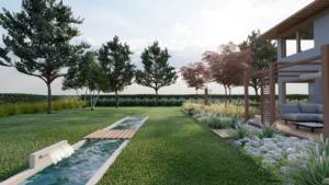 minimalistyczny ogród z sosnami