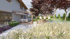 minimalistyczny ogród z sosnami