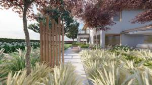 minimalistyczny ogród z sosnami