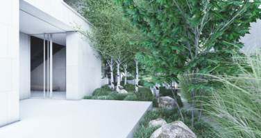 minimalistyczny ogród z trawami